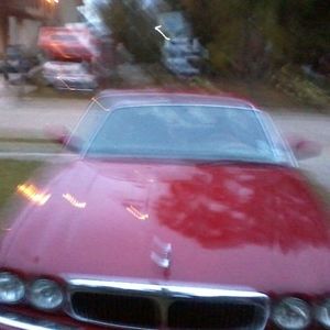 Meet your Posher, Ronnie